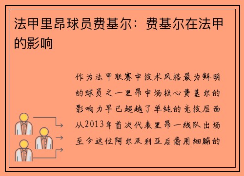 法甲里昂球员费基尔：费基尔在法甲的影响