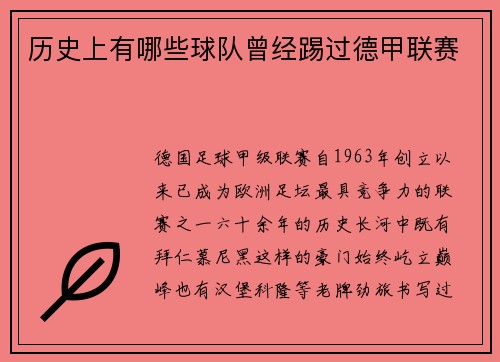 历史上有哪些球队曾经踢过德甲联赛