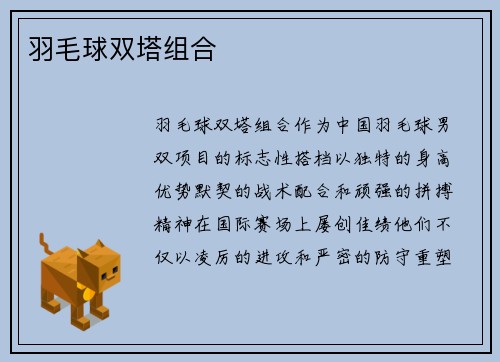 羽毛球双塔组合