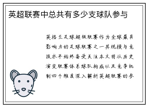 英超联赛中总共有多少支球队参与